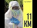 Kampf gegen Ebola: Wie gefährlich ist der Virus-Ausbruch? I 11KM - der tagesschau-Podcast