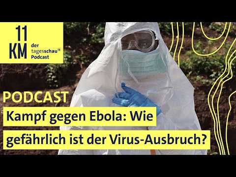 Kampf gegen Ebola: Wie gef&auml;hrlich ist der Virus-Ausbruch?

Ebola breitet sich in Zentralafrika weiter aus und der Kampf gegen das Virus l&auml;uft auf Hochtouren. Auch die Weltgesundheitsorganisation WHO hat schon den internationalen Gesundheitsnotstand ausgerufen.

#Kampf #gegen #Ebola #Wie #gef&auml;hrlich