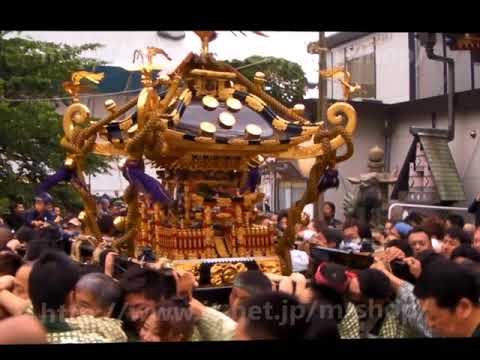 三社祭 2009年5月17日 平成21年