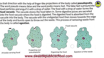 CLASS 7 Science ch 1 Part 4  by Anuj Yadav Sir