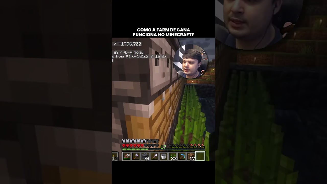 como funciona a farm de cana automática?! #toshibento #minecraft