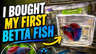 🐟 I Bought My First Betta Fish! | Petco Vlog | Betta Fish Journey Ep. 1