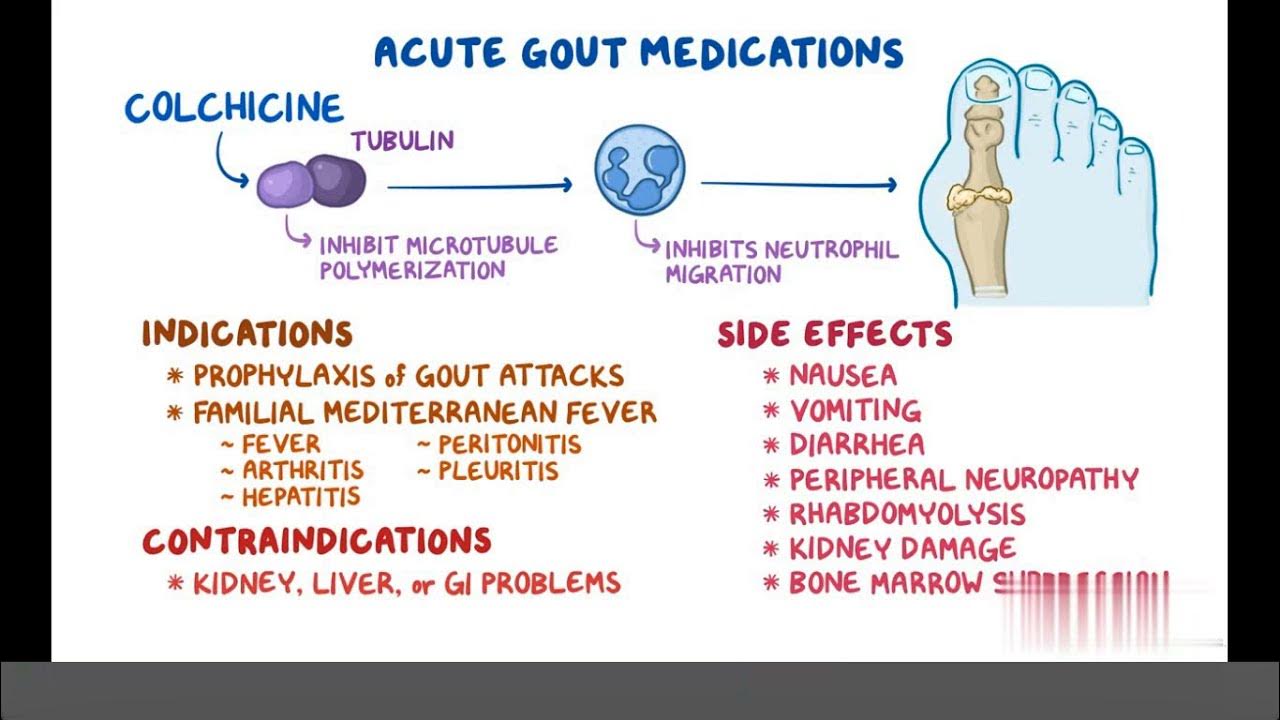 Anti Gout Medications (Pharmacology) YouTube
