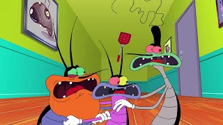 Oggy and the Cockroaches  INVISIBLE OGGY  Full Episodes HD