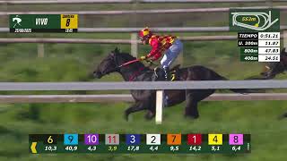 Vidéo de la course PMU GATO ARMADO H.