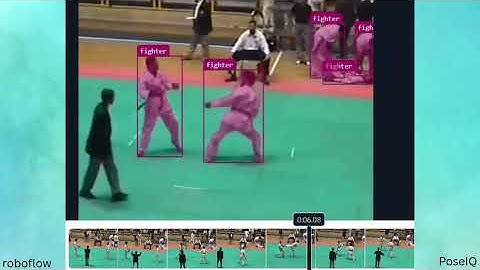 Fighters Detection via SAM3D in Roboflow