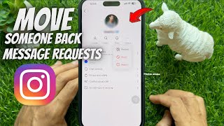 How to Move Someone Back to Message Requests on Instagram