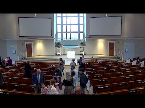 Video preview