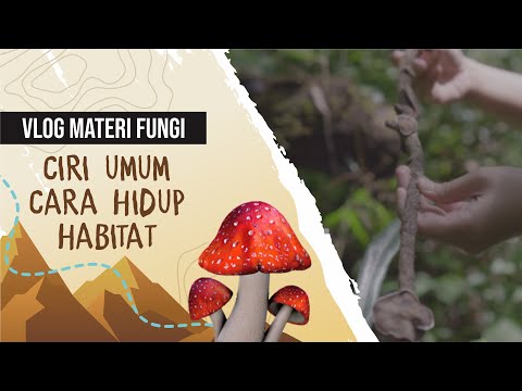 VLOG MATERI FUNGI (CIRI-CIRI UMUM, CARA HIDUP, DAN HABITAT)