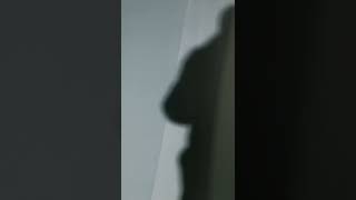 1200X1800Mm 17Mm 18Mm Wood Plastic Concrete Slabs Forms Wpc Construction Formwork Building Panels