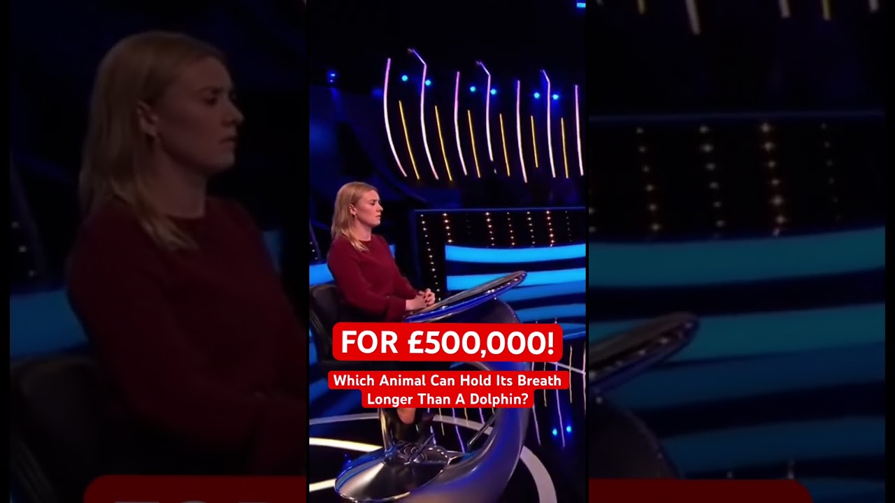 За 500 000 фунтов стерлингов — какое животное может задерживать дыхание дольше, чем дельфин? 