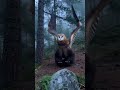 Un oso con cabeza extr4aña fue grabado en el bosque