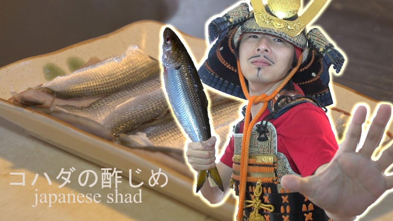 男の出刃包丁 素人がコハダを酢じめして寿司屋に勝つ Gizzard Shad Youtube