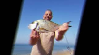Surfcasting diurno: cattura di un’orata di grossa taglia