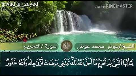 لشيخ عوض محمد عوض•|| امام مسجد الامام البخاري •سوره التحريم