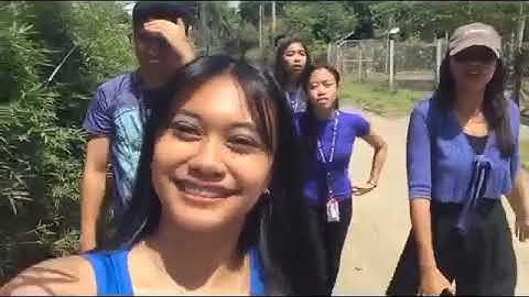 PERFORMANCE TASK 2                      OUR VLOG: PATTERNS IN NATURE