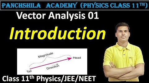 Vector Analysis Full Introduction 🔥 | Scalar & Vector Quantities Explained | Physics Class 11