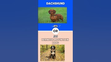 What would you rather? |Part 51 #wouldyoudare #dailyquiz #ytshorts