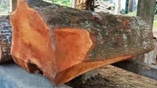 The most popular mahogany wood on the island of Java