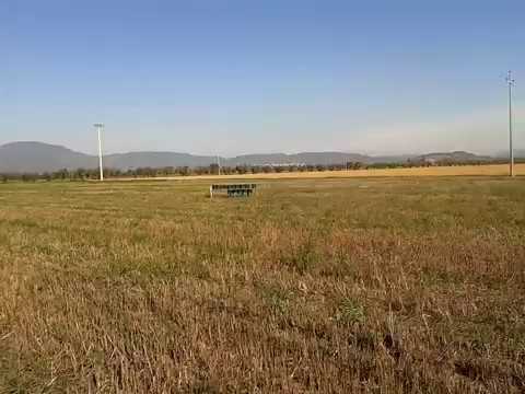 Allodole In Canto A Ritorto Il 14.10.2017