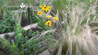 What Are Native Adapted Hybrid Plants?