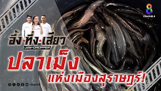 ปลาเม็งแห่งเมืองสุราษฎร์! | อึ้ง ทึ่ง เสียว by ช่อง8 : Thai Ch8 5,884 views 1 day ago 8 minutes, 14 seconds