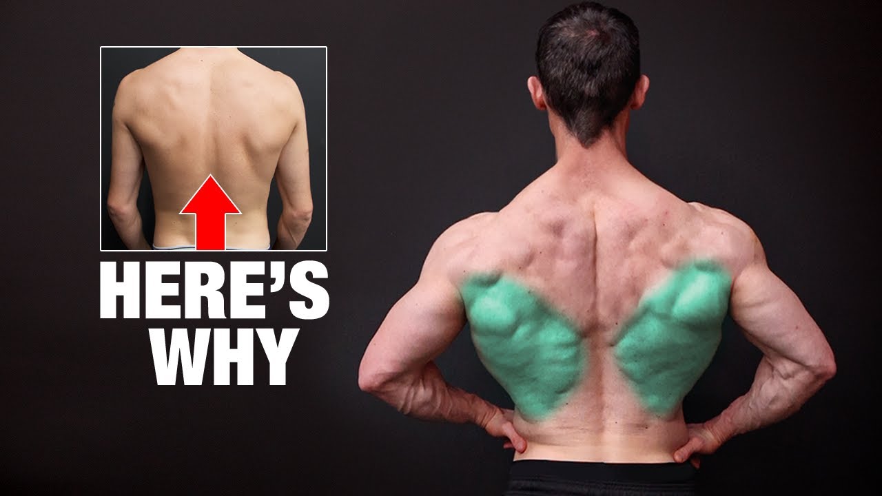 The REAL Reason Your Lats Won't Grow!