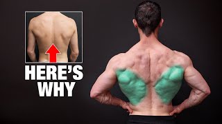 The REAL Reason Your Lats Won't Grow!