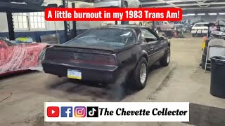 A little burnout in my 1983 Trans Am! #pontiac #transam #burnout