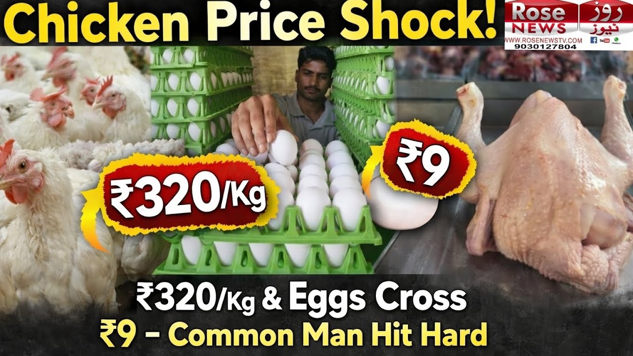 Chicken Price Shock! ₹320/Kg & Eggs Cross ₹9 – Common Man Hit Hard