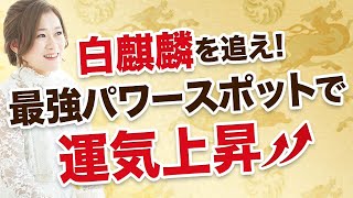 白麒麟を追え！最強パワースポットで運気上昇↑↑