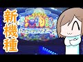 海物語の新作初プレイ!!【海物語ラッキーマリンツアーズ】【メダルゲーム】