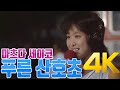 [4K 60FPS] 마츠다 세이코 - 푸른 산호초(青い珊瑚礁) 1980(하네다 공항 LIVE) 4K AI Upscaling