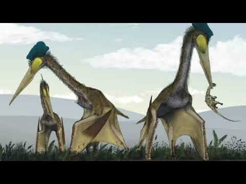 الاحافير الحية الديناصورات الحية من كتاب خلف اسوار العلم