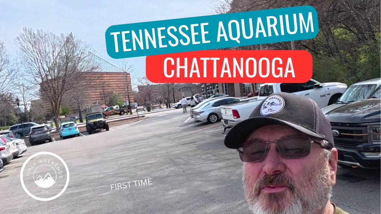 Chattanooga Aquarium Tour | Sharks, Fish & More