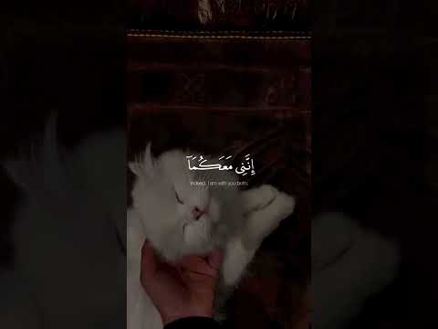 راحة نفسية حالات واتس اب قران ستوريات قران ستوريات دينيه تصميم قران ستوريات انستغرام قصيرة