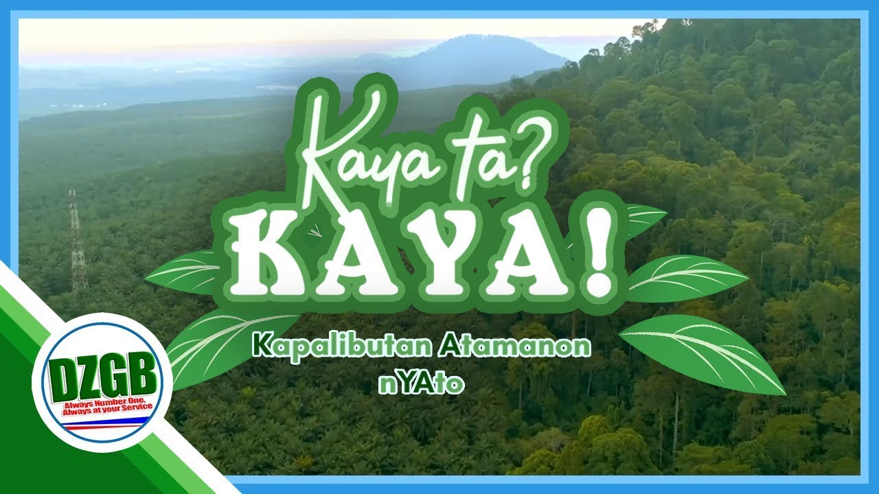 Kaya Ta? Kaya!