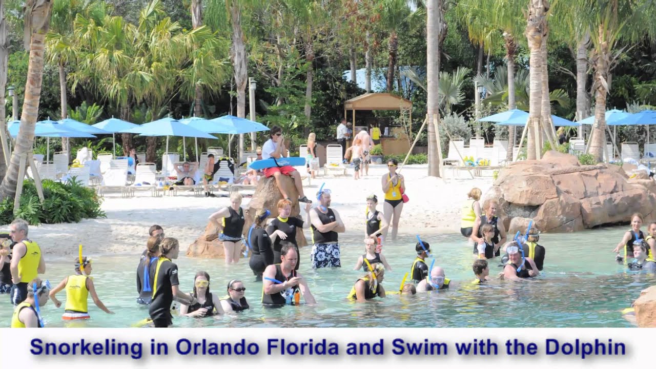 Snorkeling in Orlando Florida and Swim with the Dolphin YouTube