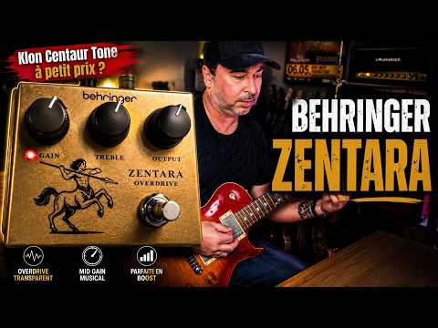Behringer ZENTARA : Clone Honteux ou Bonne Affaire ?