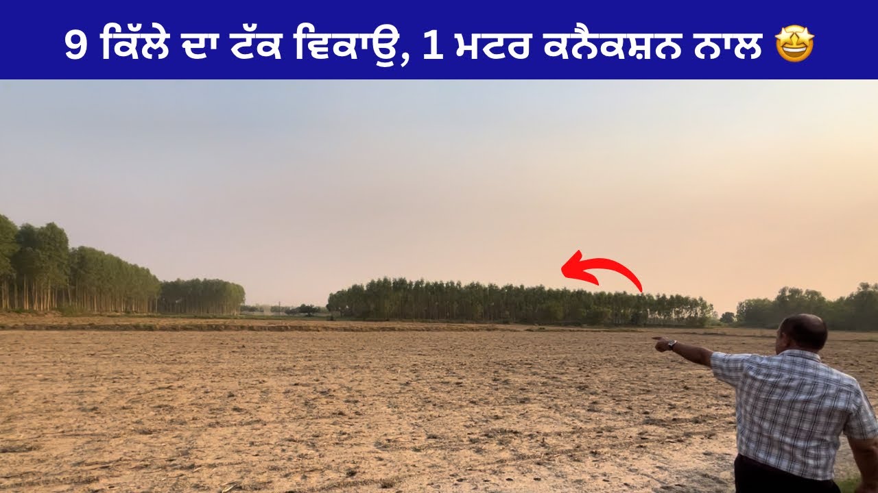 9 acres agri land🤩 for sale near Hoshiarpur Punjab | video: 196