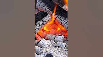 Hot Tent Camping in Forest #camping #forest #tent