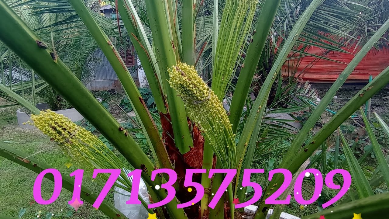 যোগাযোগের ঠিকানা ফোন নাম্বার    01713575209