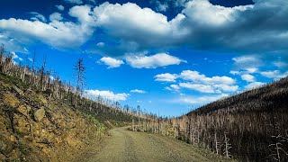 Driving down Buckhorn Road through the Cameron Peak fire scar 1-year later