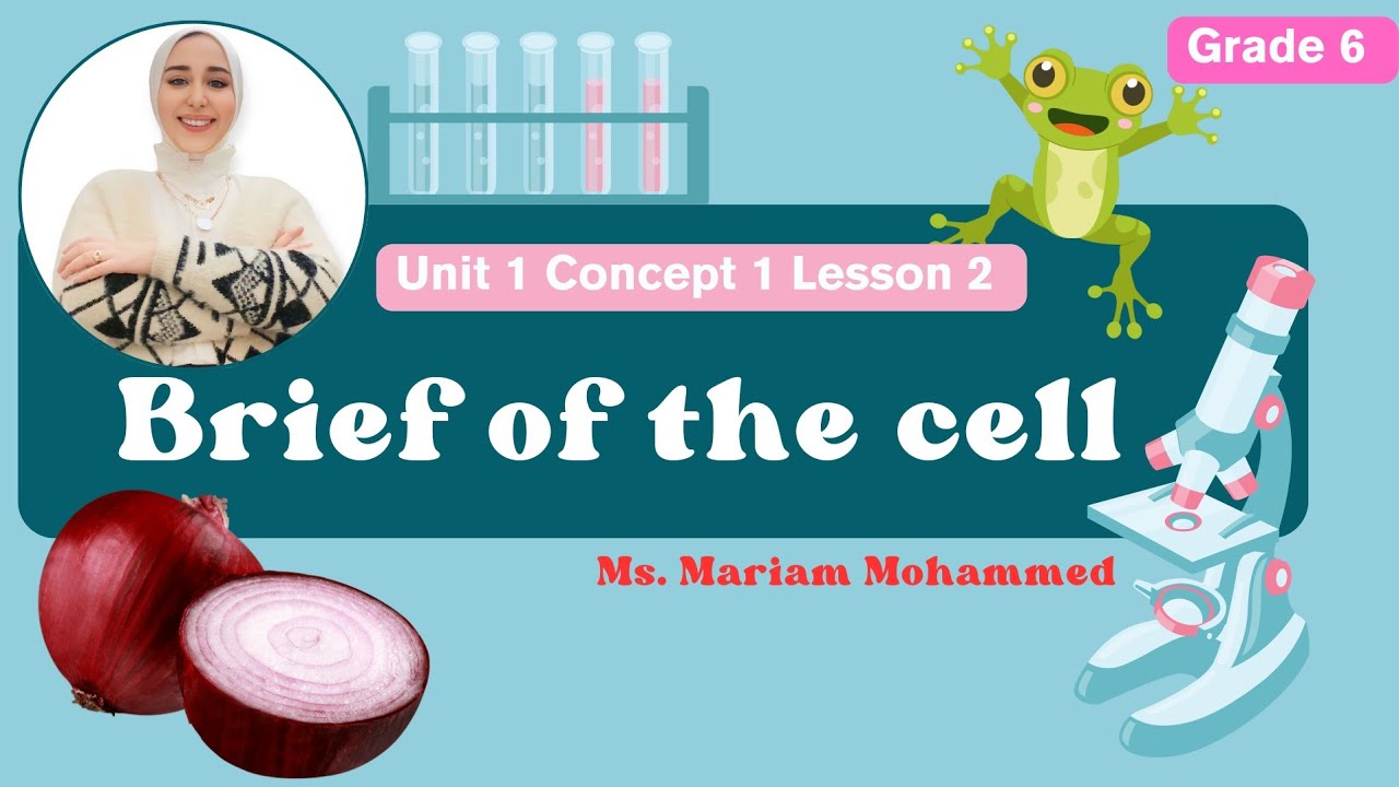 Grade 6 | Unit 1 | Concept 1 | Lesson 2 | Brief of the cell - YouTube