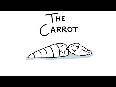 the-carrot