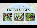 Garden Fresh Cauliflower, Cabbage, Spinach, Radish &amp; Eggplant 🥦🥦