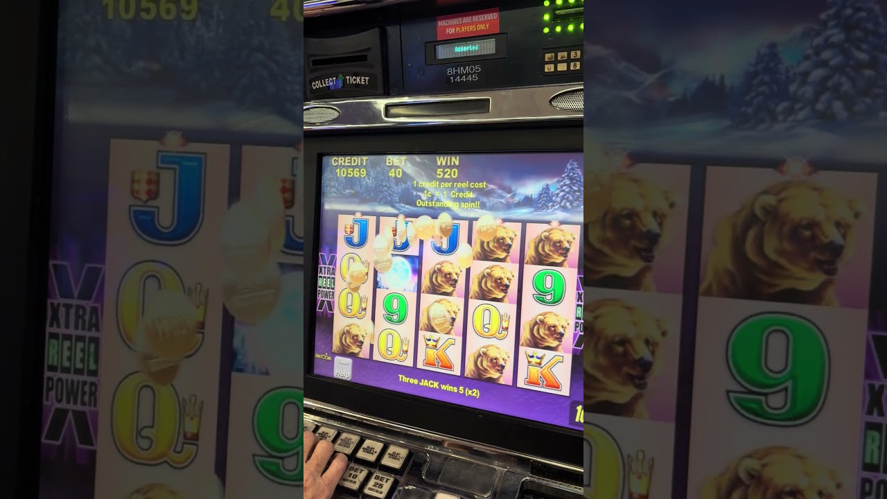 bonus fara depunere casino Low Roller 75X Old School Timber Wolf Bears @kcslotnutz casino slot slots casinogames win