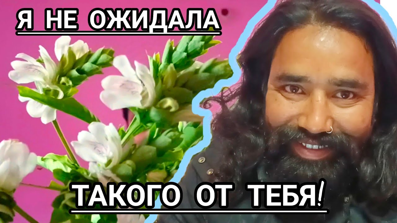 Это Мне?? Ты Удивил Меня! Рома Готовит Обед с Вешенками. Нас Утро ...