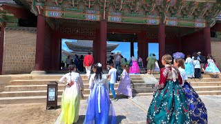 한복 미인이 가득한  경복궁 여행 Tour the beautiful Gyeongbokgung Palace | 4K Seoul