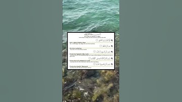 Surah Al-Falaq ( سورة الفلق )